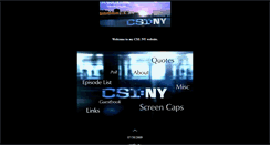 Desktop Screenshot of csiny.pastmyshoulder.com