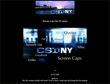 Tablet Screenshot of csiny.pastmyshoulder.com